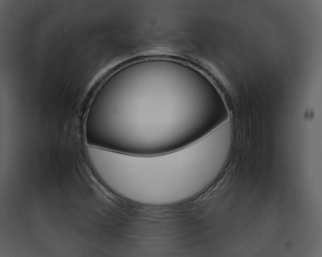 X0000090411356200707130916