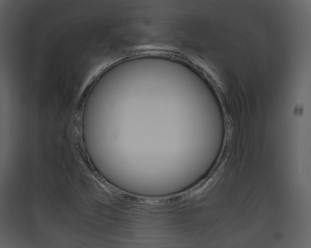 X0000090411357200707130916