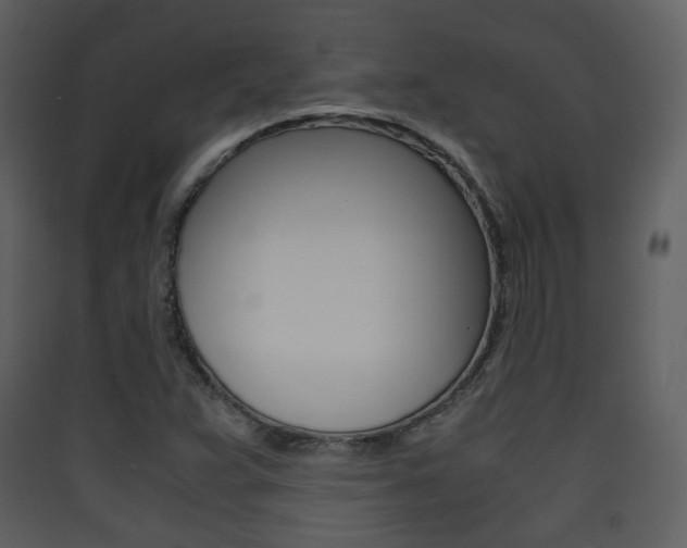 X0000090411359200707130916