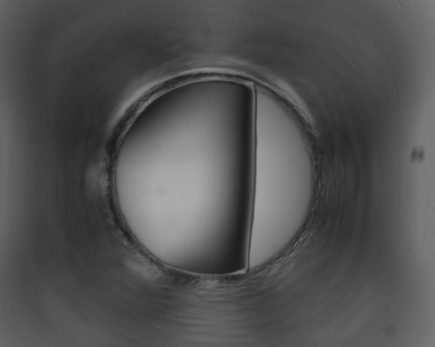 X0000090411360200707130916