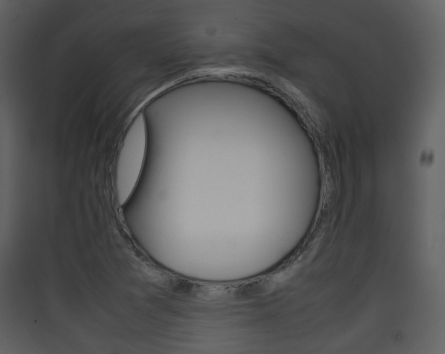 X0000090411361200707130916