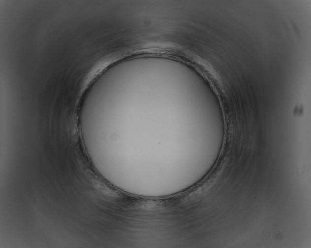 X0000090411362200707130916