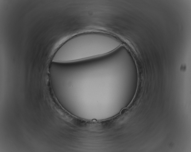 X0000090411363200707130916