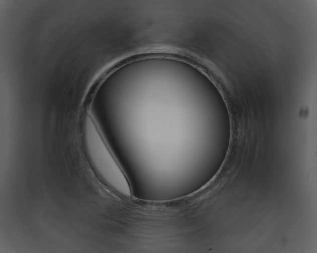 X0000090411364200707130916