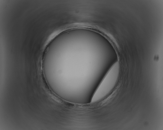 X0000090411365200707130916