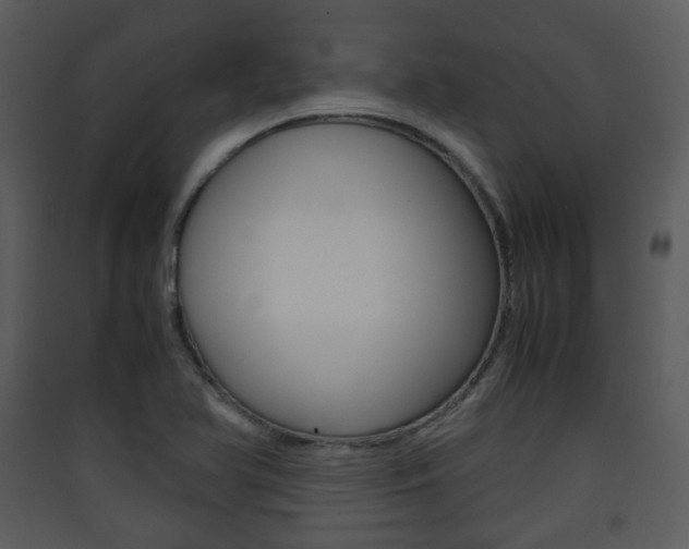 X0000090411366200707130916