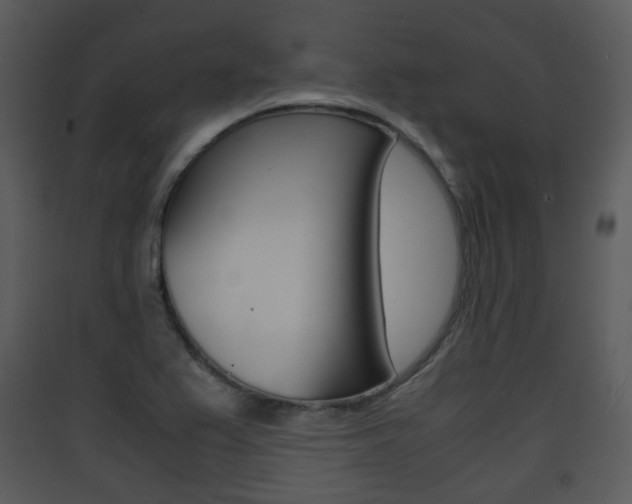 X0000090411367200707130916