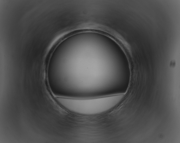 X0000090411368200707130916