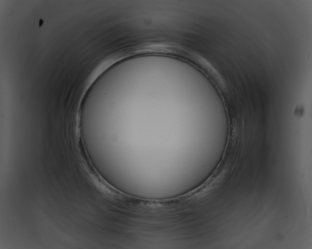 X0000090411370200707130916