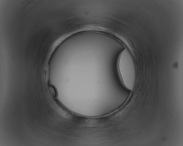 X0000090411371200707130916
