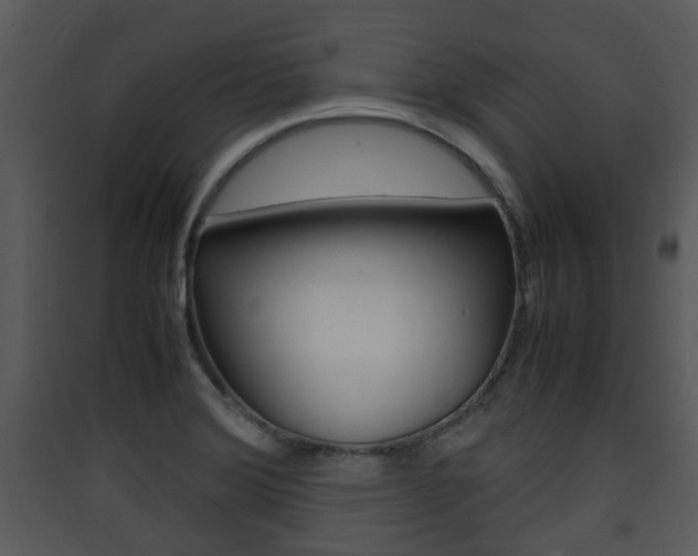 X0000090411372200707130916