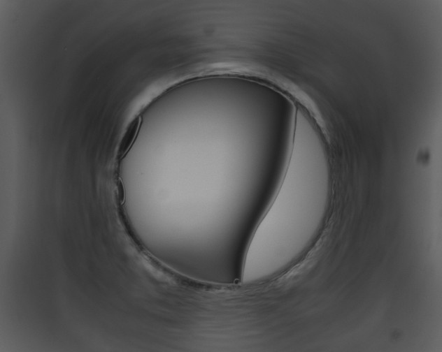 X0000090411373200707130916