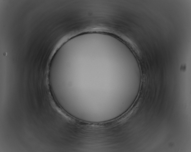 X0000090411374200707130916