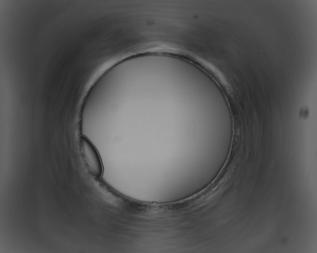X0000090411375200707130916
