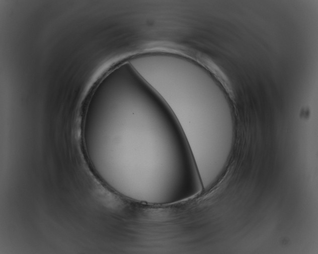 X0000090411376200707130916