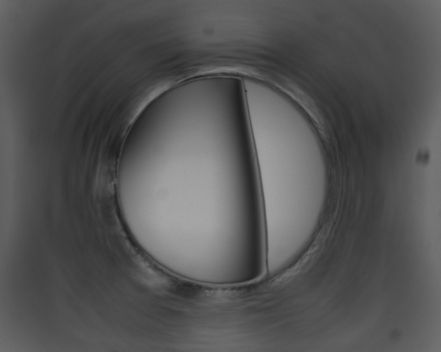 X0000090411377200707130916