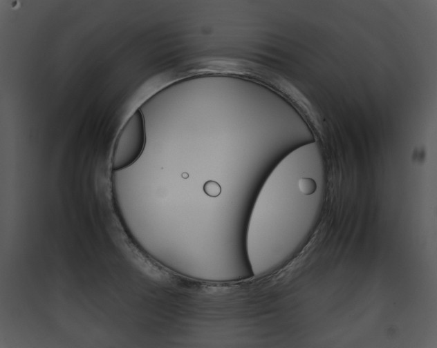 X0000090411378200707130916