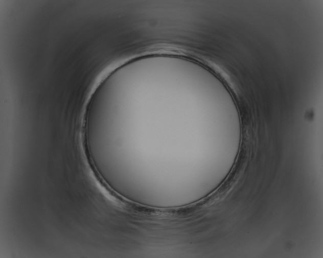 X0000090411379200707130916
