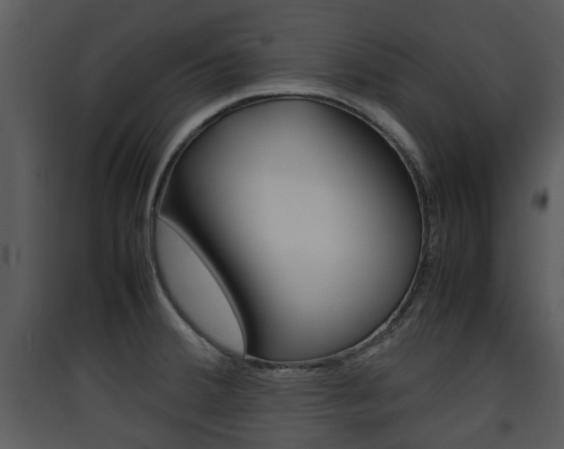 X0000090411380200707130916