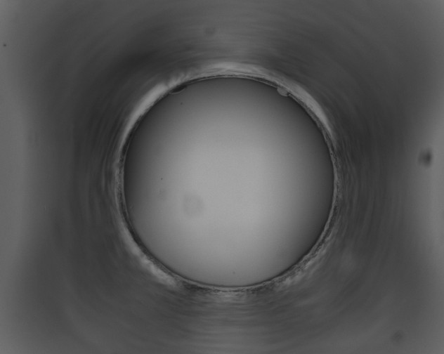 X0000090411381200707130916
