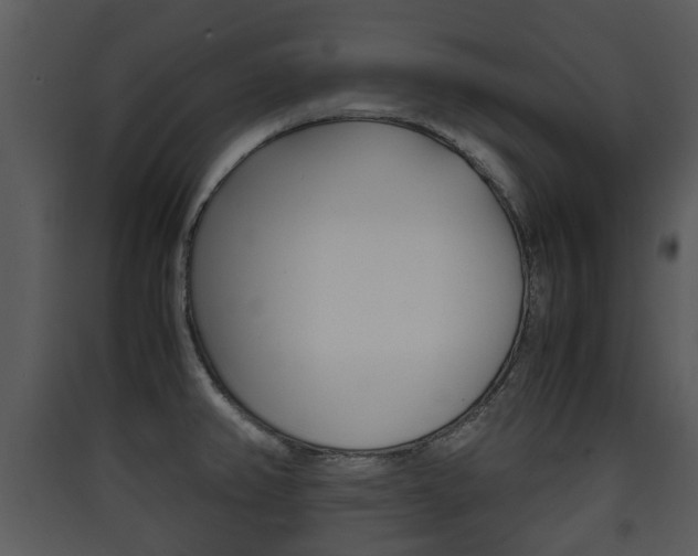 X0000090411382200707130916