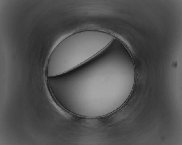 X0000090411383200707130916