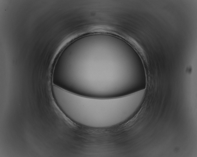 X0000090411384200707130916