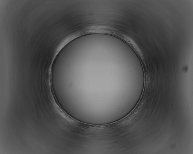 X0000090411386200707130916