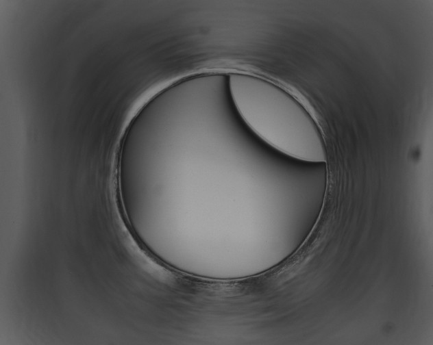 X0000090411387200707130916