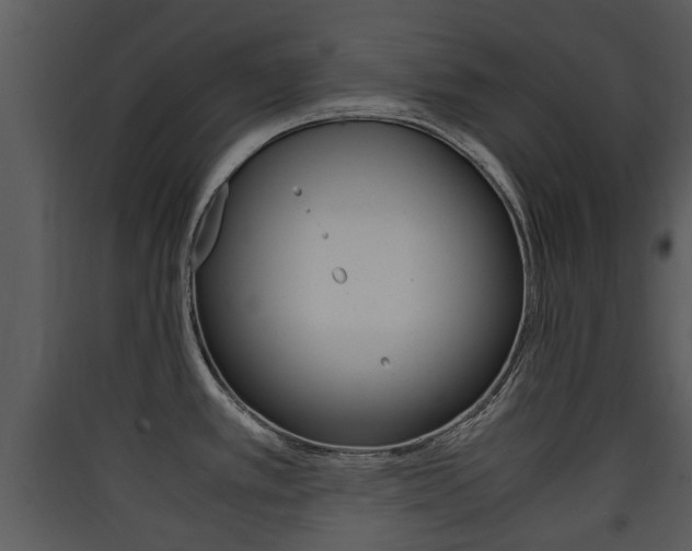 X0000090411389200707130916