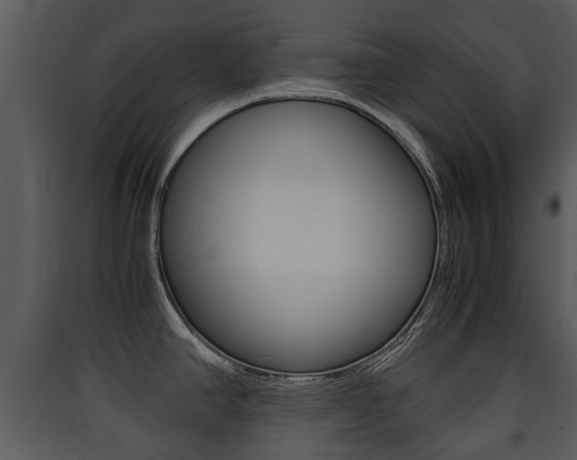 X0000090411390200707130916