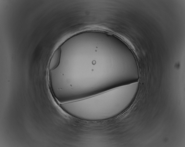 X0000090411391200707130916
