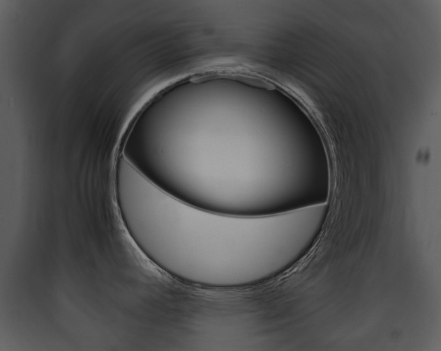 X0000090411392200707130916