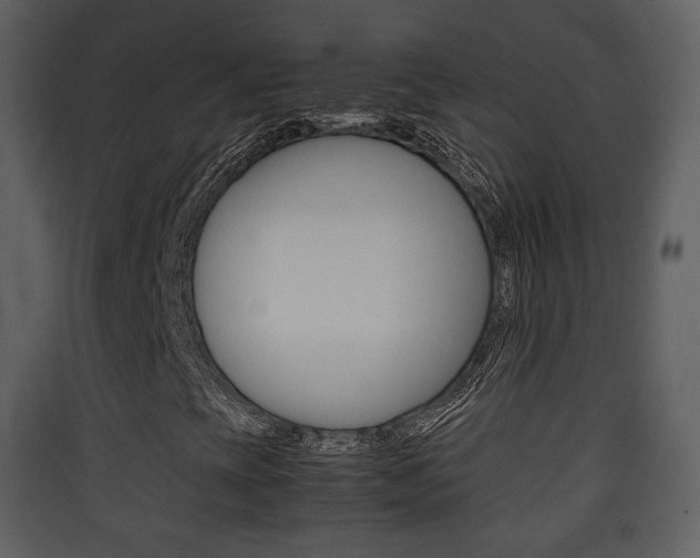 X0000090411393200707130915