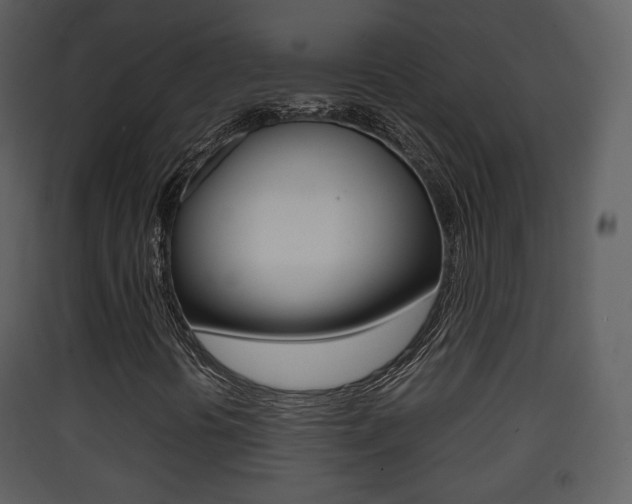 X0000090411394200707130915