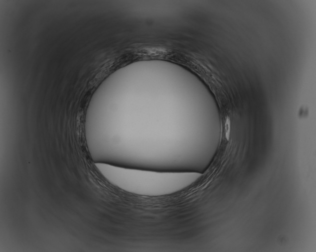 X0000090411395200707130915