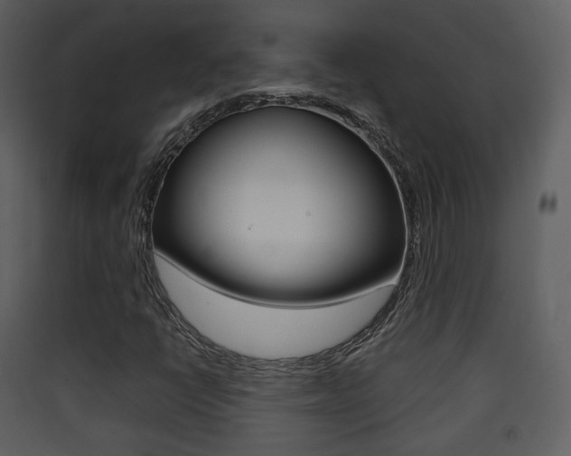 X0000090411398200707130915