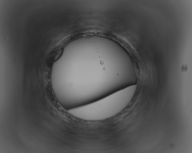 X0000090411399200707130915