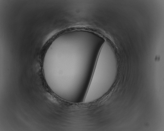 X0000090411400200707130915