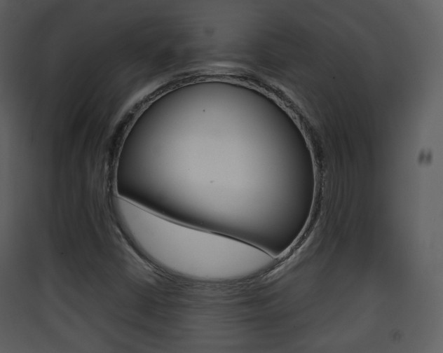 X0000090411402200707130915