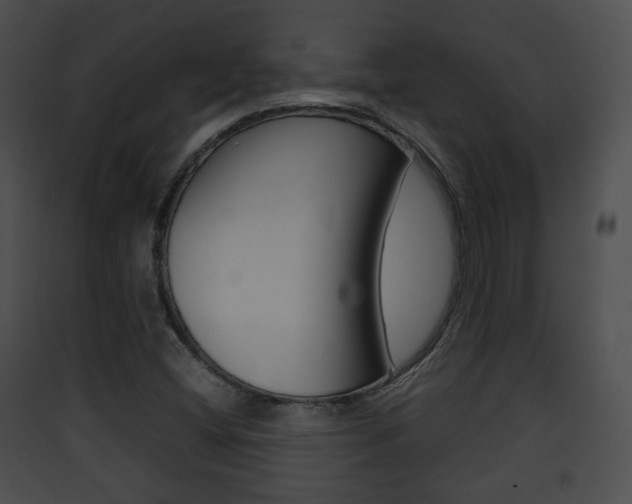 X0000090411404200707130915