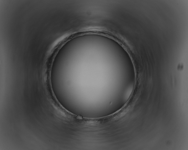 X0000090411406200707130915