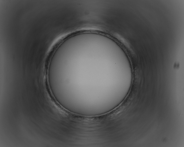 X0000090411408200707130915