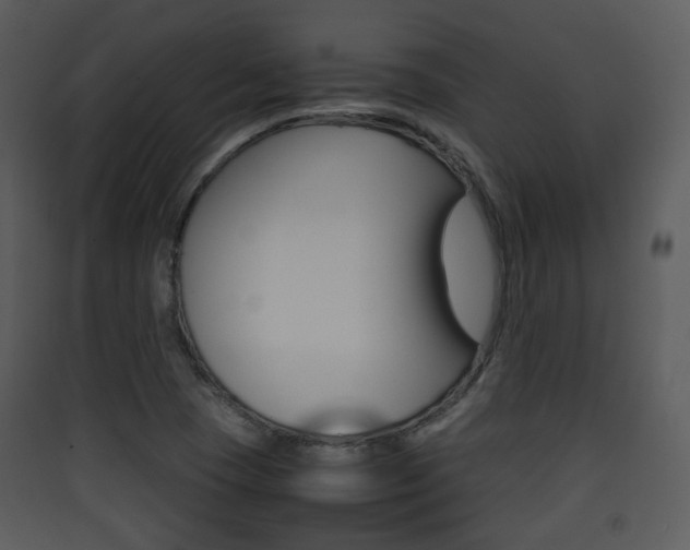 X0000090411409200707130915