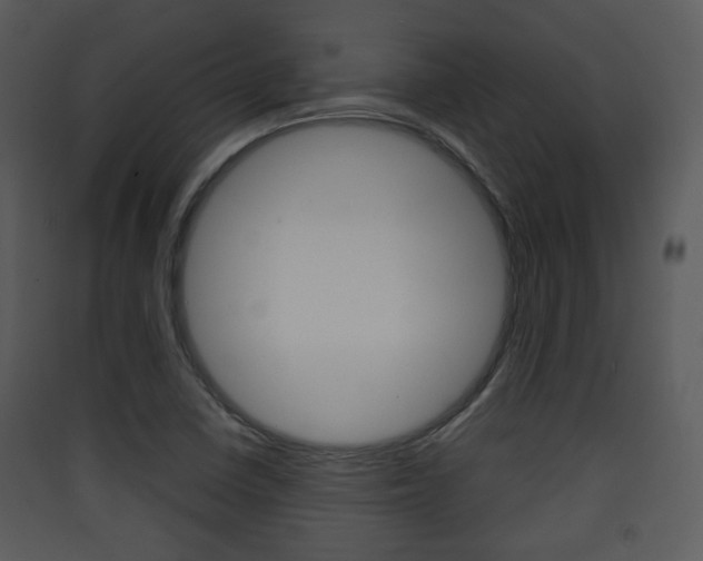 X0000090411410200707130915