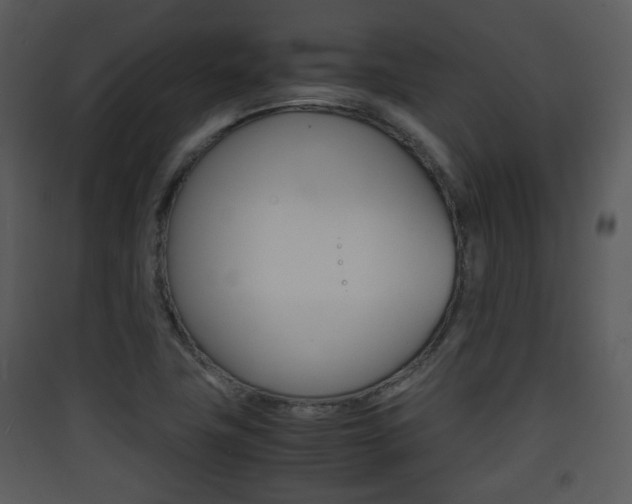X0000090411411200707130915