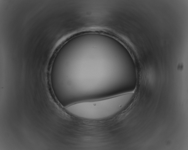 X0000090411412200707130915