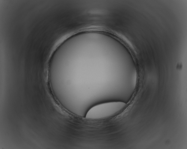 X0000090411413200707130915