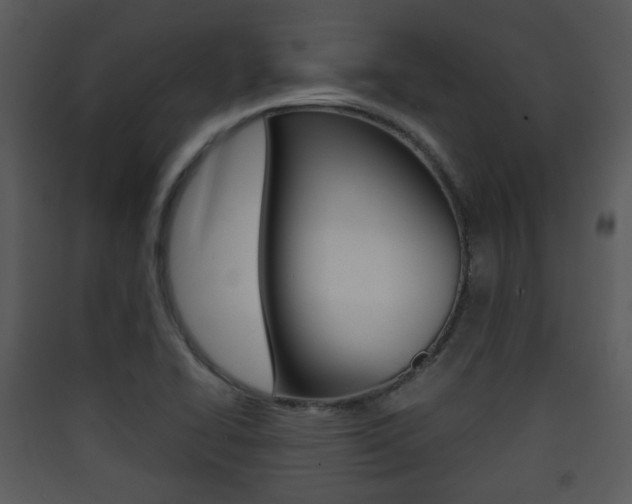 X0000090411414200707130915