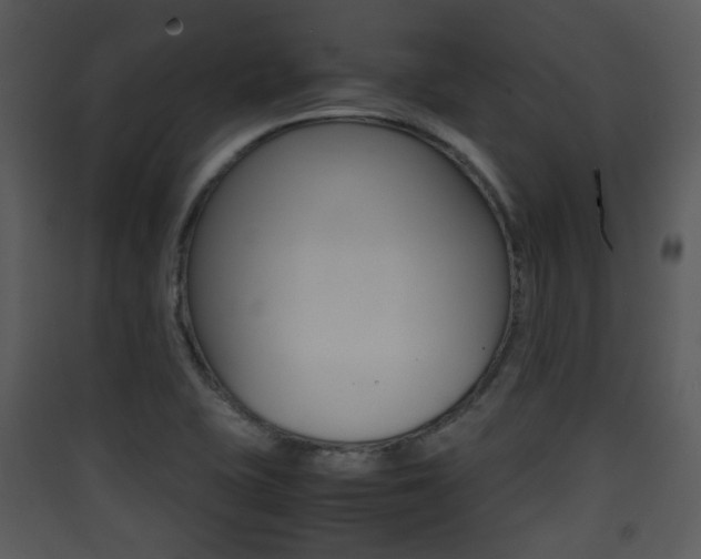 X0000090411415200707130915